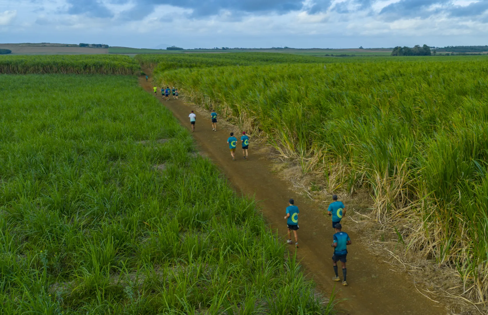 The Loop Backyard Ultra