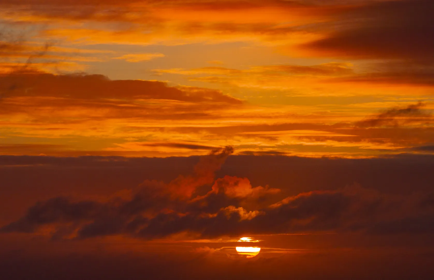 The Loop Sunset to Sunrise